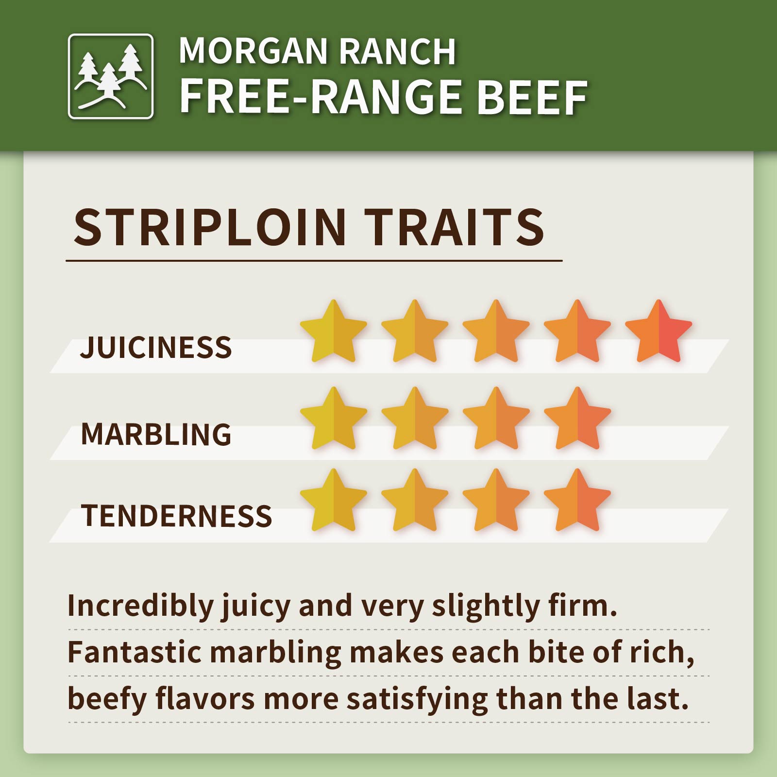 Morgan Ranch USDA Prime Beef New York Strip Steak (300g) - Horizon Farms