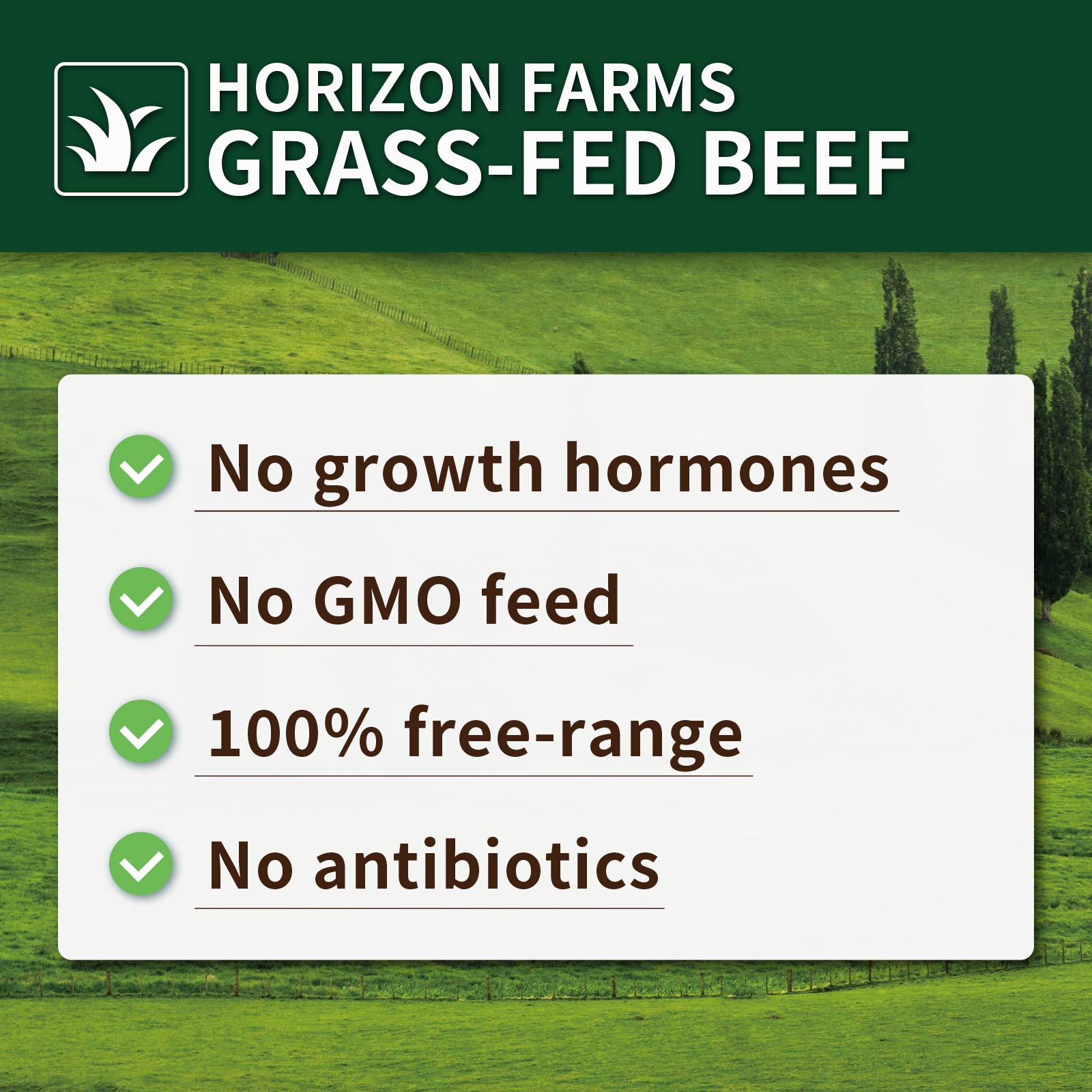 All-Natural Grass-Fed Beef Bone Broth Powder (100g/30 Servings) - Horizon Farms