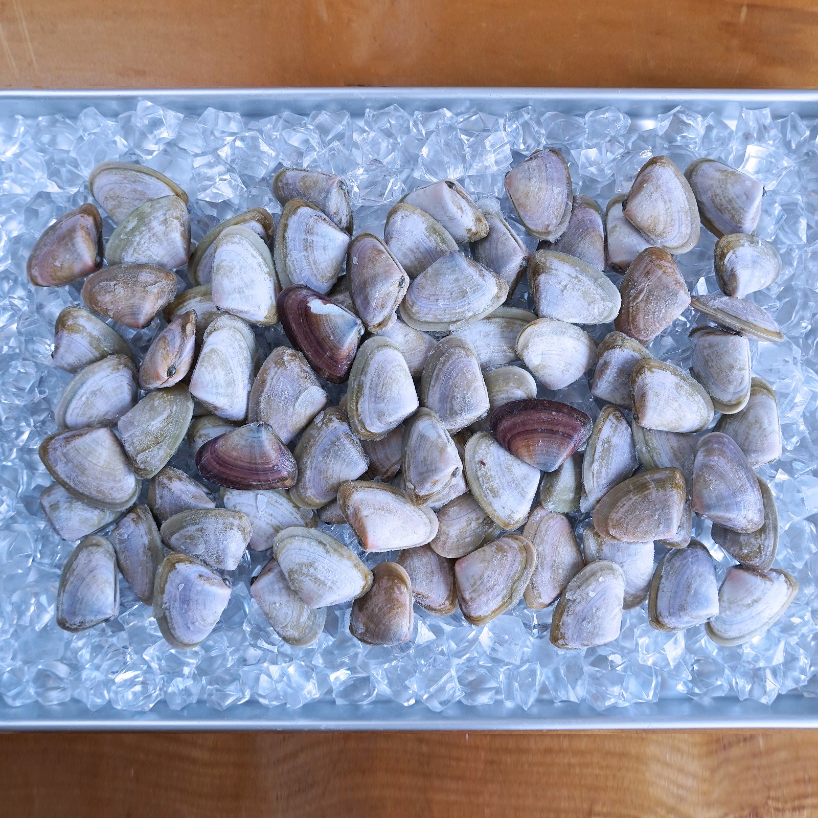 MSC Certified Wild-Caught Shell-On De-Sanded Pipi Clams from Australia (1kg) - Horizon Farms