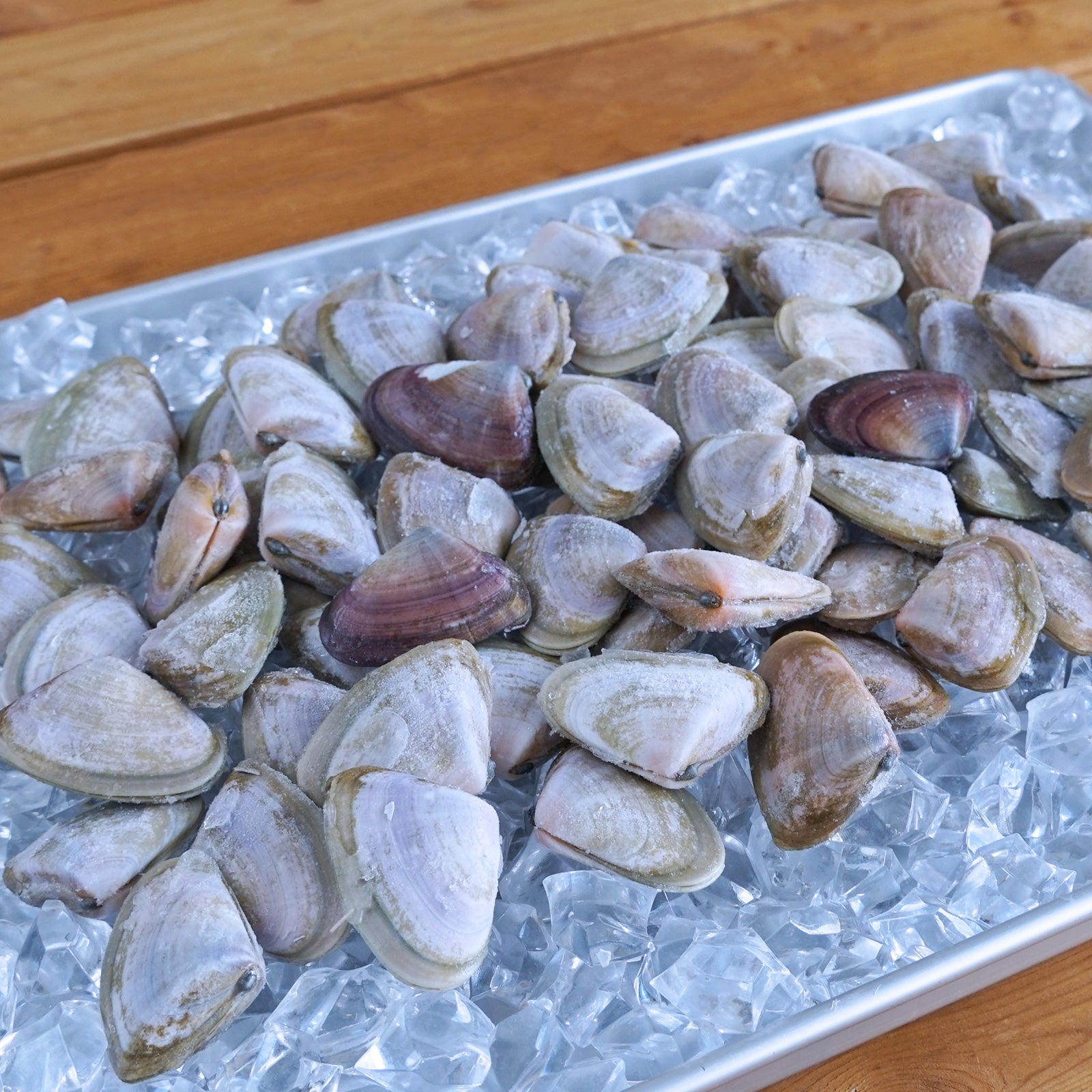 MSC Certified Wild-Caught Shell-On De-Sanded Pipi Clams from Australia (1kg) - Horizon Farms