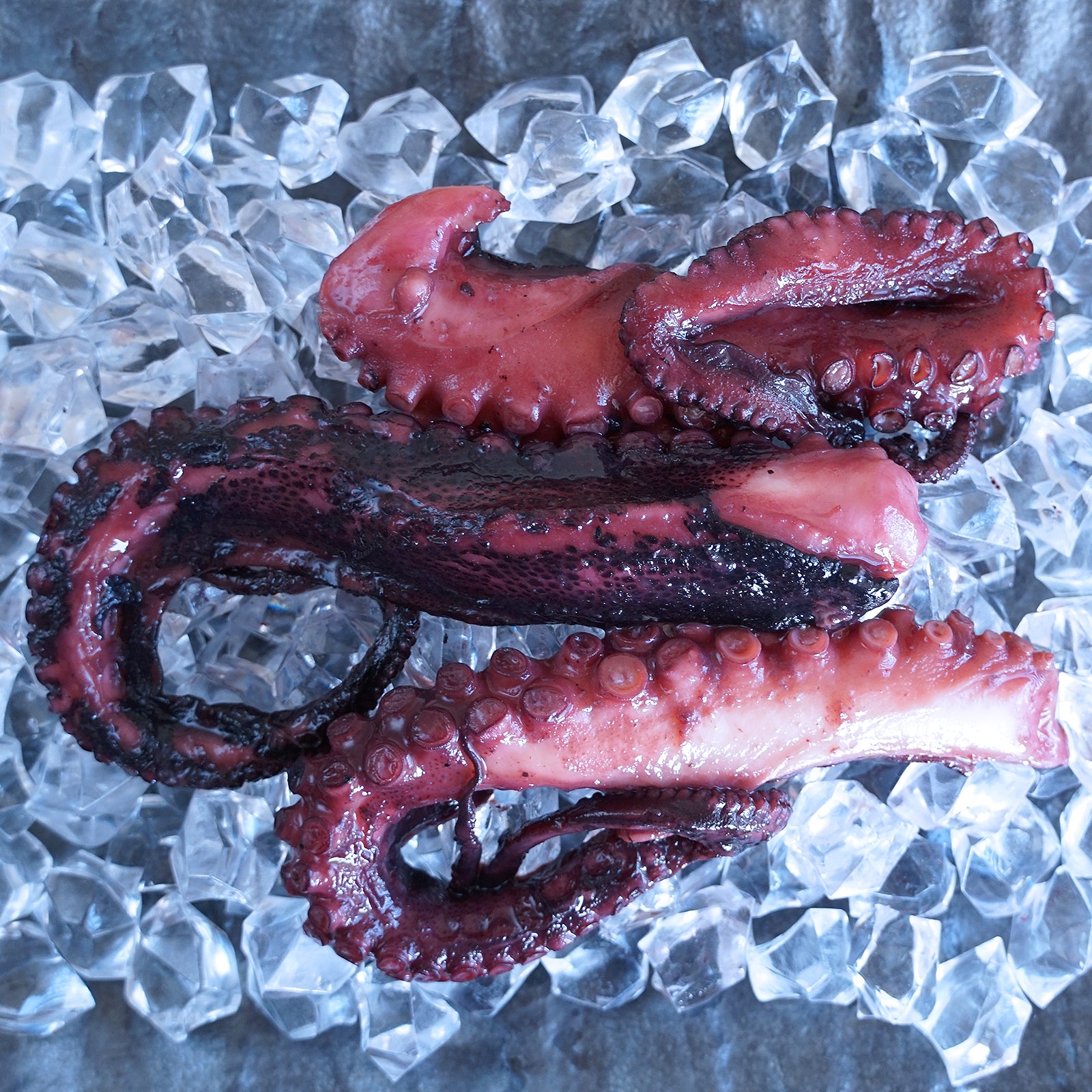 MSC-Certified Wild-Caught Steamed Octopus from Australia (200g) - Horizon Farms