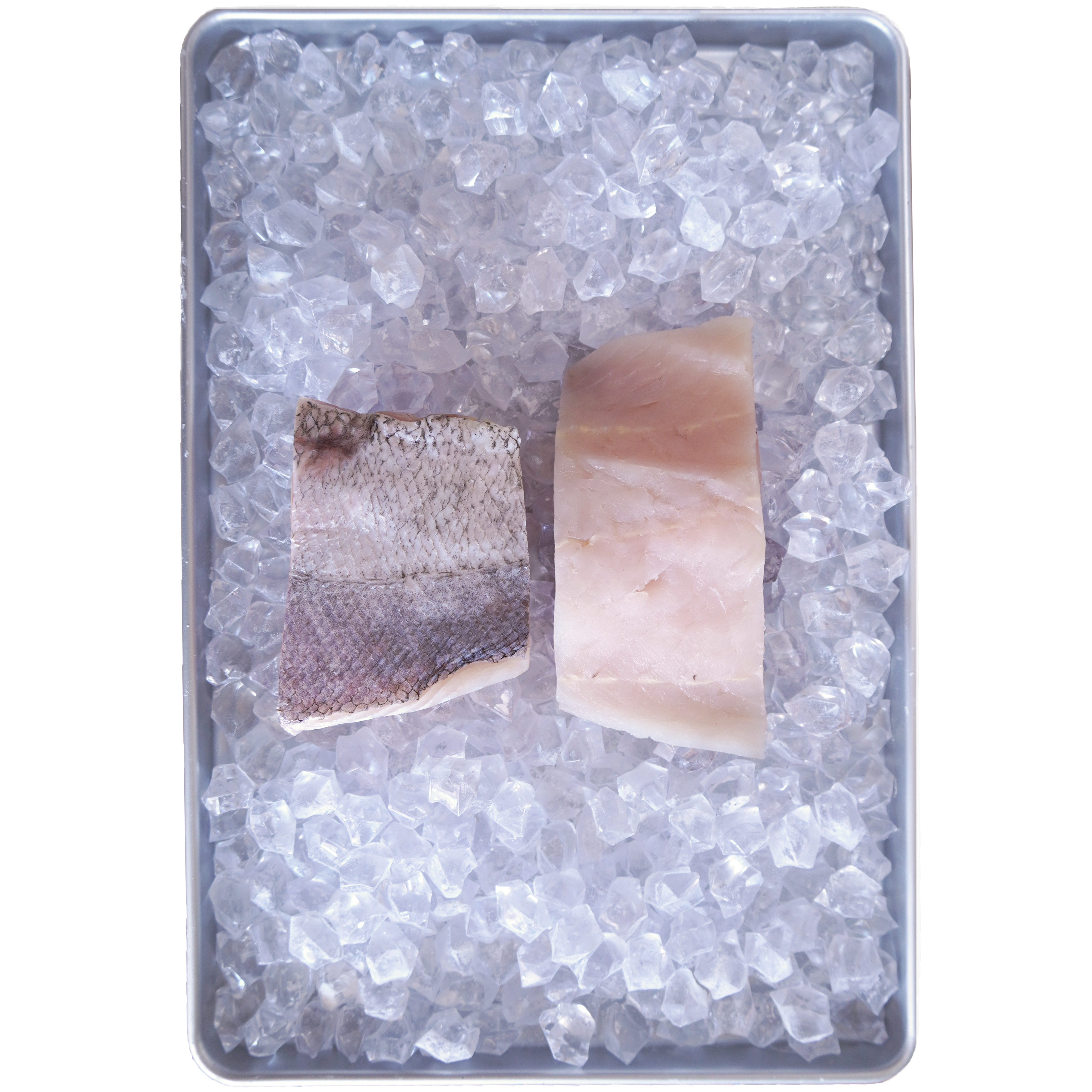 Wild-Caught Hake Fish Fillets from New Zealand (450g) - Horizon Farms