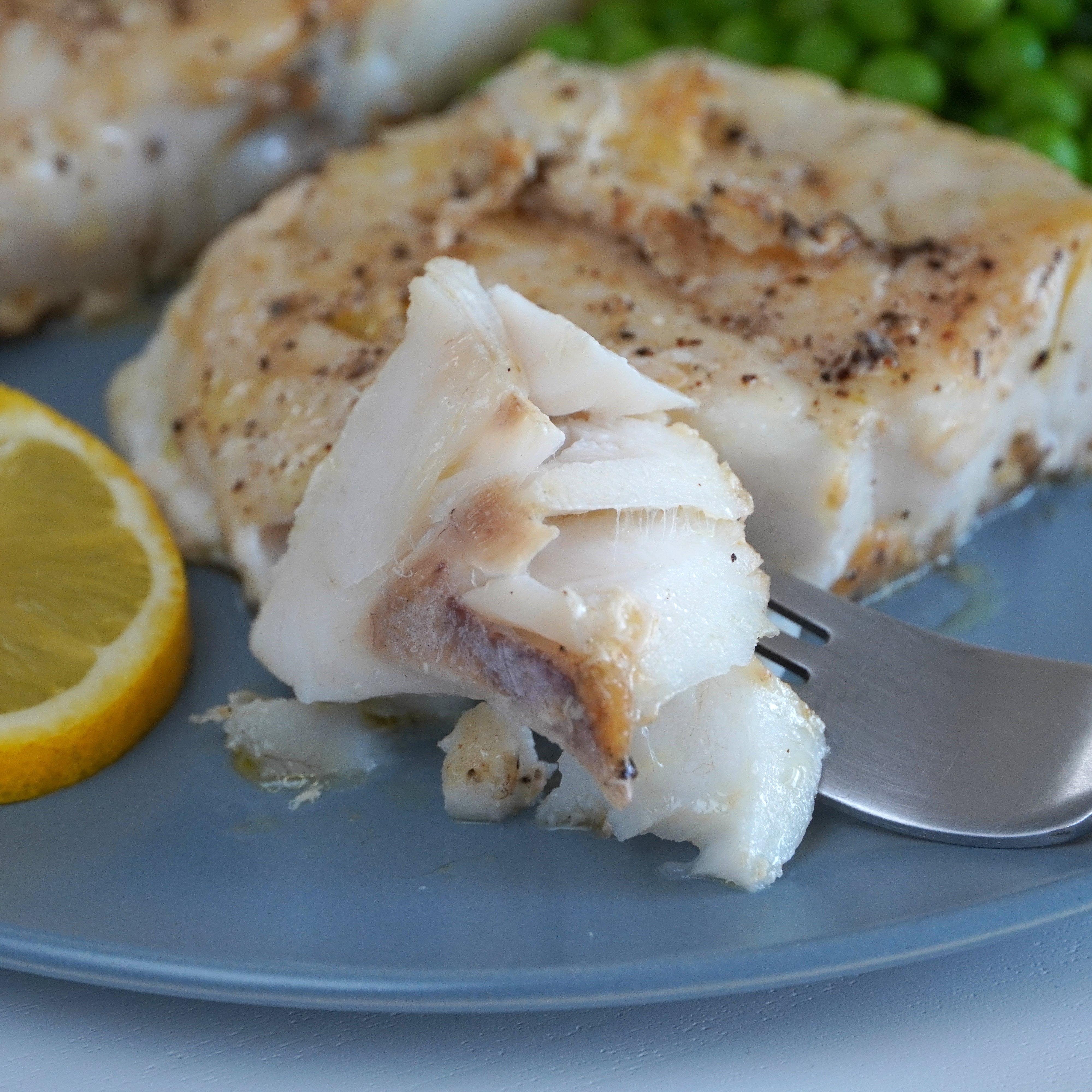 Wild-Caught Hake Fish Fillets from New Zealand (450g) - Horizon Farms