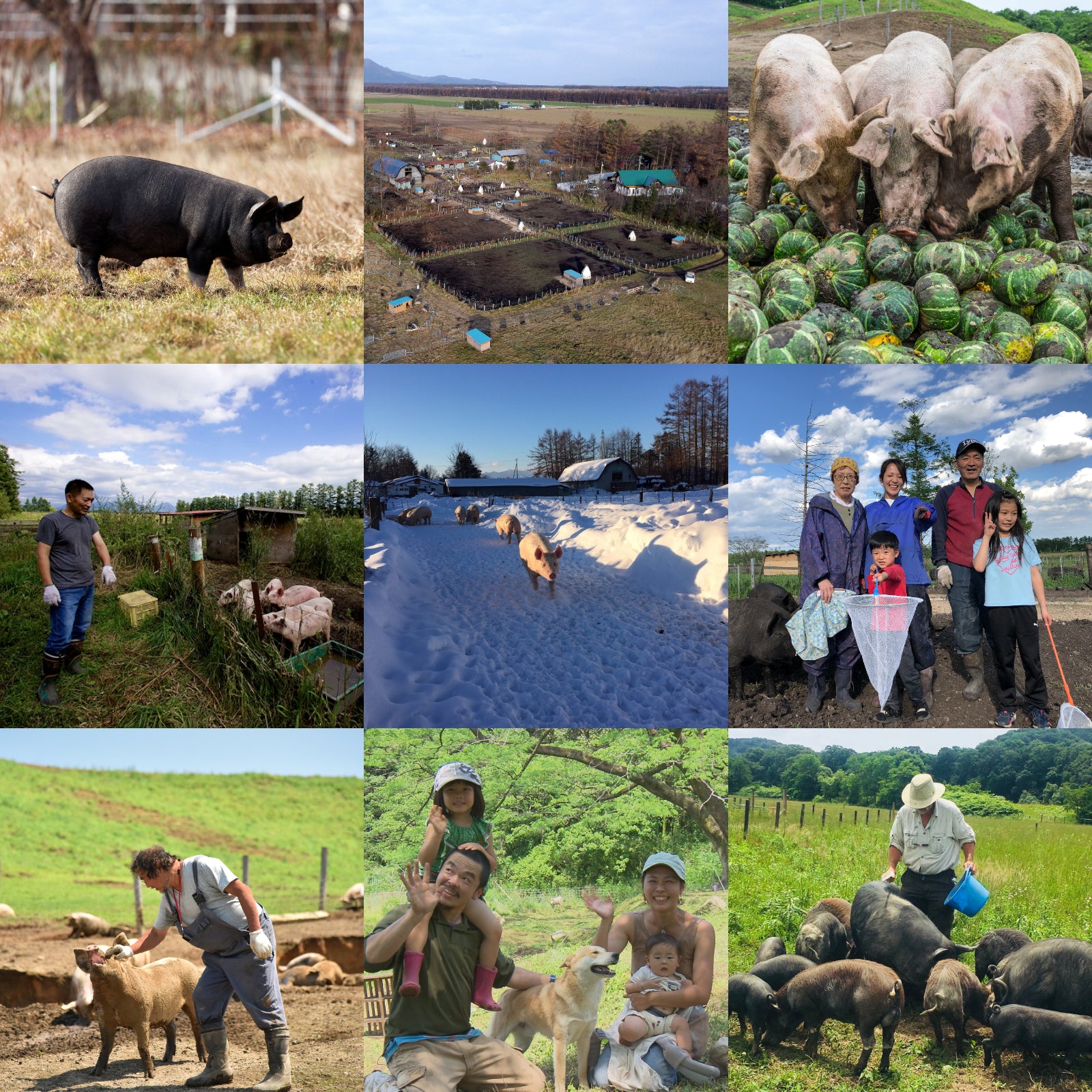 Free-Range Pork Shoulder Slices for Shabu Shabu (300g) - Horizon Farms