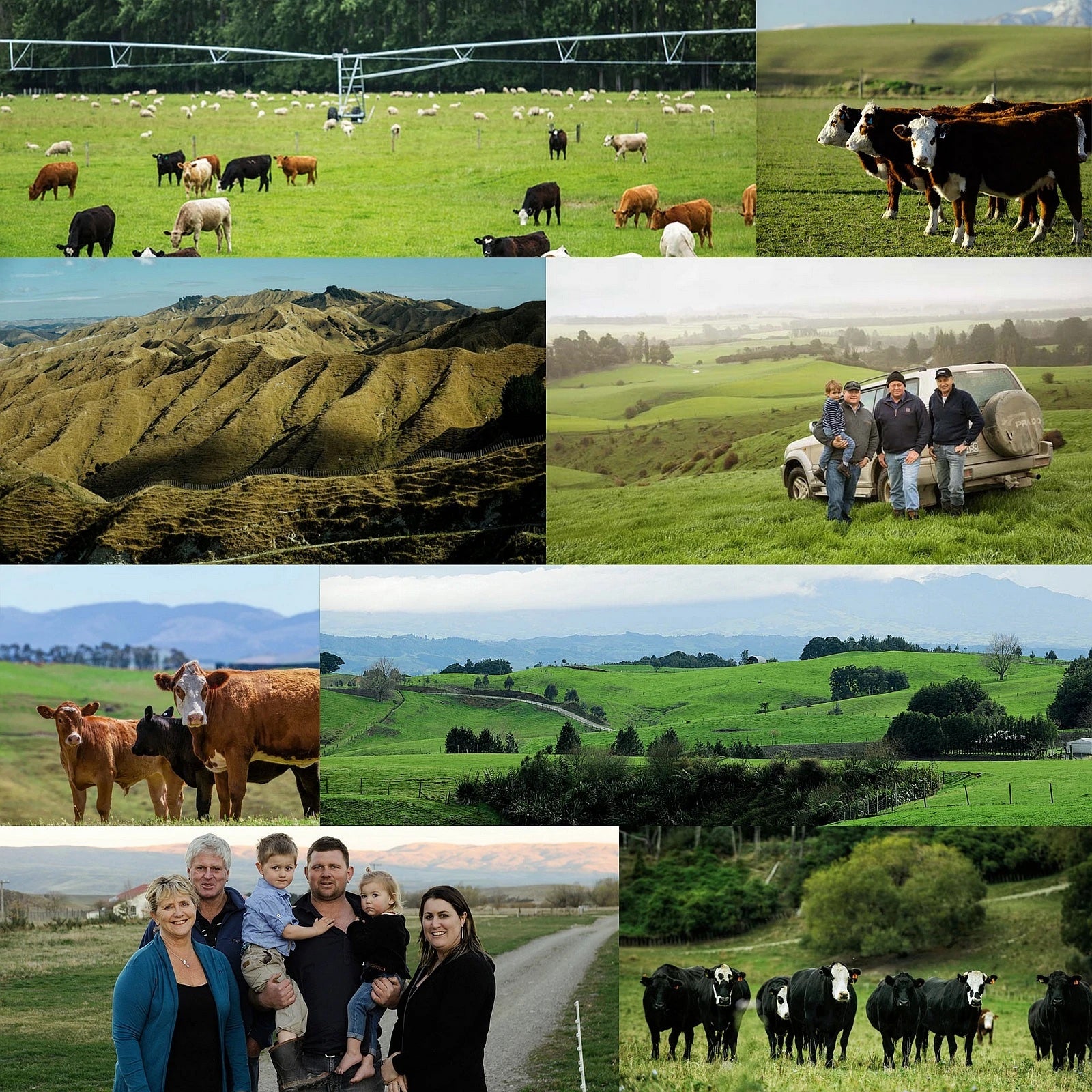 Grass-Fed Beef Teres Major / Petite Tender Steak from New Zealand (200g) - Horizon Farms